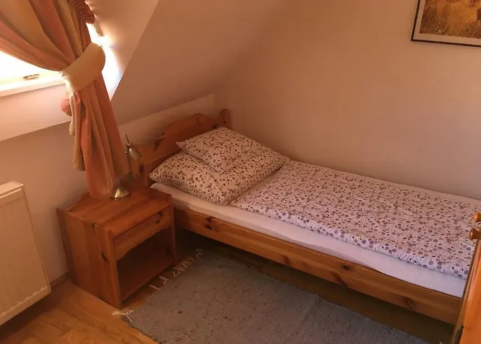 Terezia Vendeghaz ティハニ