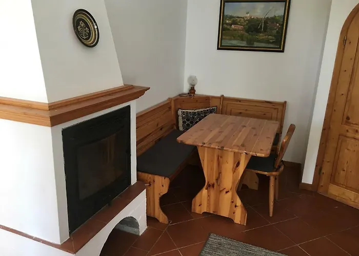 Terezia Vendeghaz ティハニ